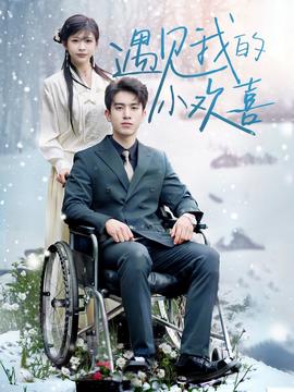 遇见我的小欢喜 全集(大结局)