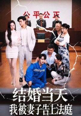 结婚当天我被妻子告上法庭(全集)