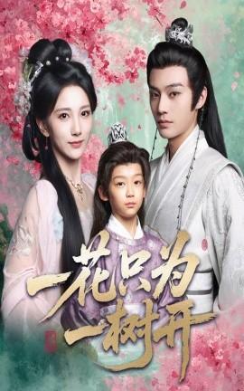 一花只为一树开(全集)